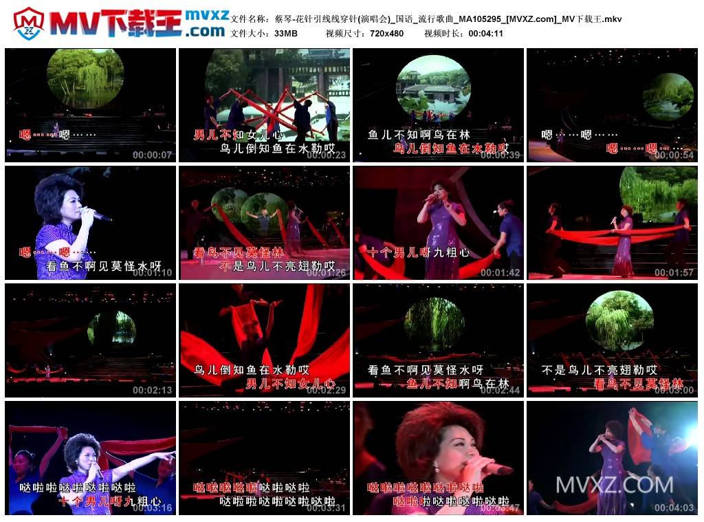 蔡琴-花针引线线穿针(演唱会)_国语_流行歌曲_MA105295